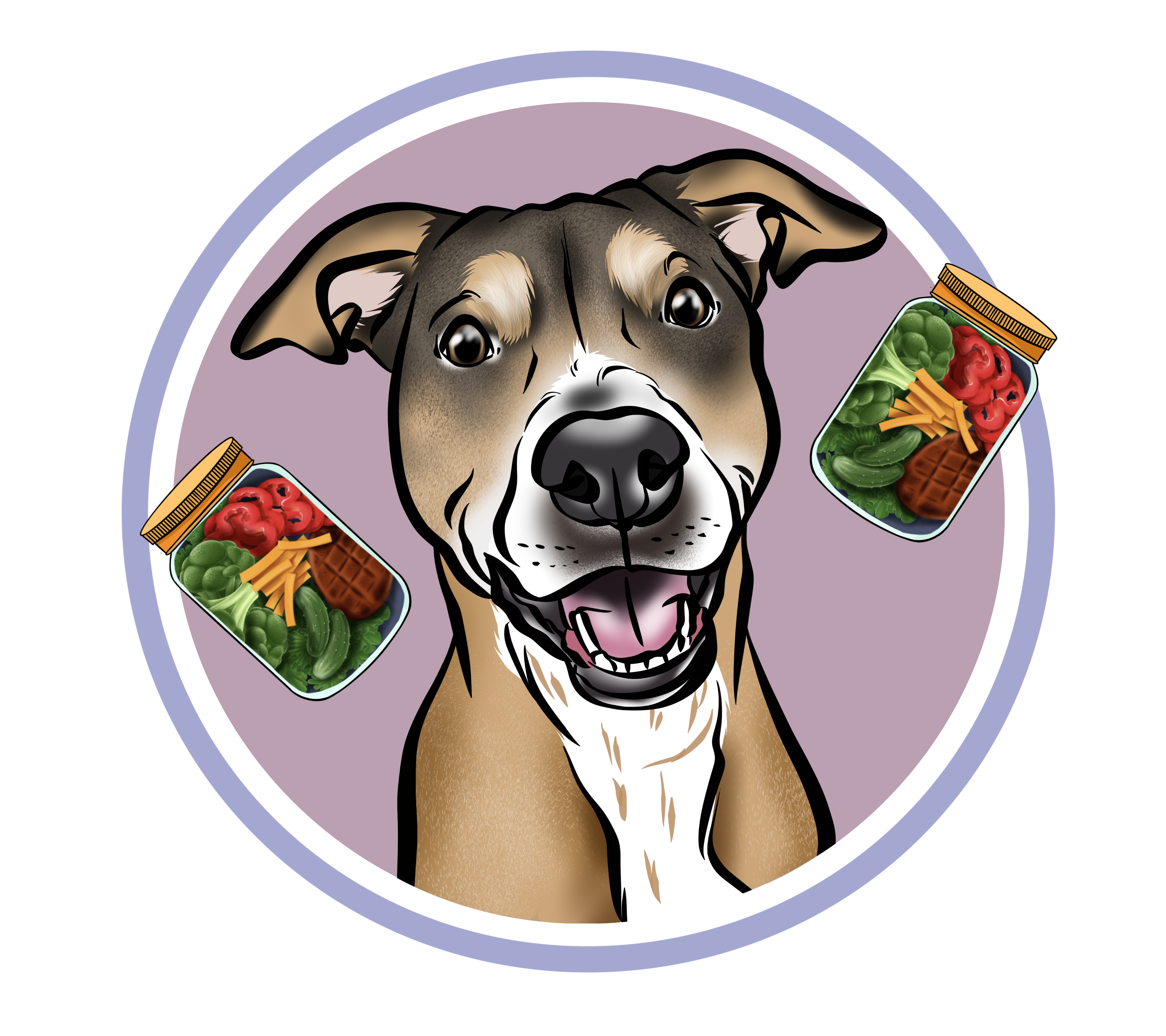 homemade dog food simplified